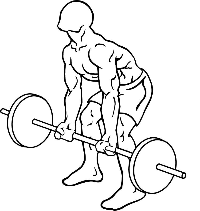 Cable rows